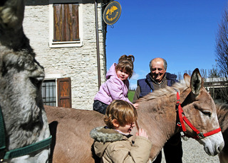 10

Hotels in der Emilia Romagna

für das ADAC Reisemagazin