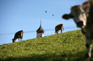 04

Das große Walsertal

Eine Reisereportage für MERIAN